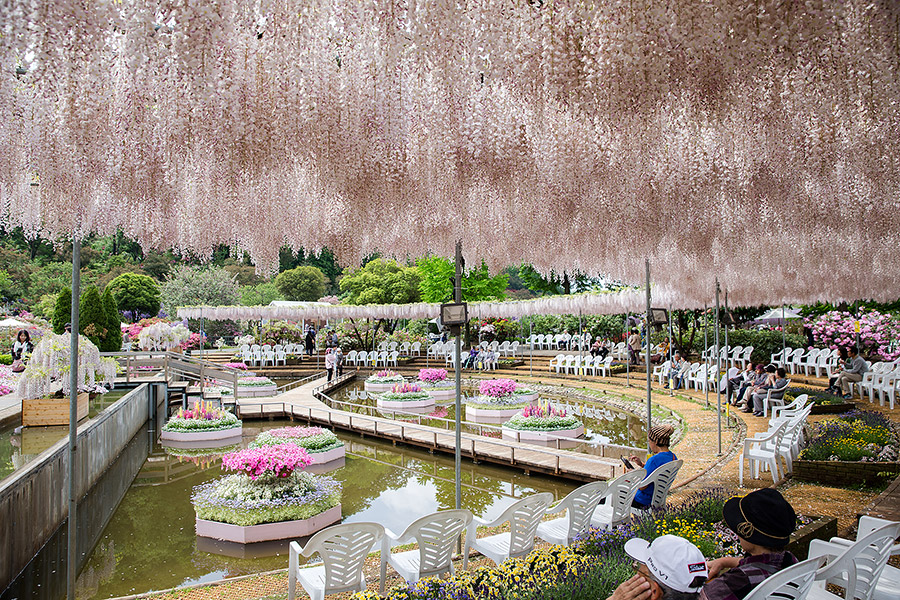 ashikaga_flowerpark_02