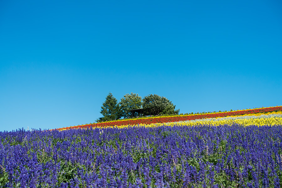 hokkaido2014_14