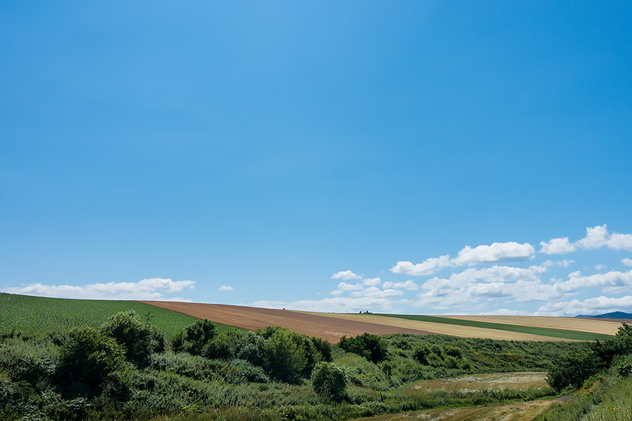 hokkaido2014_17