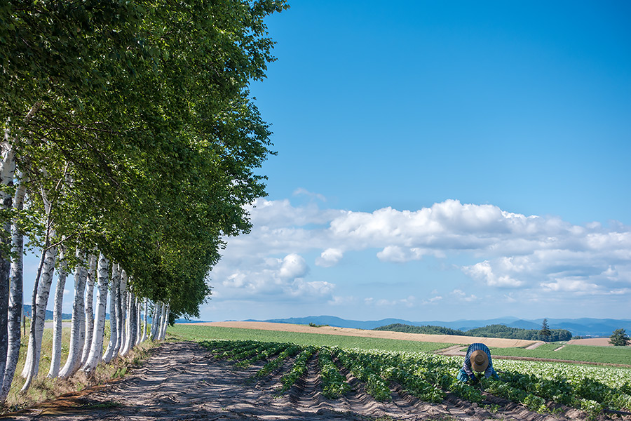 hokkaido2014_19