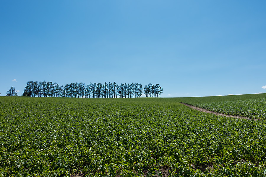 hokkaido2014_21