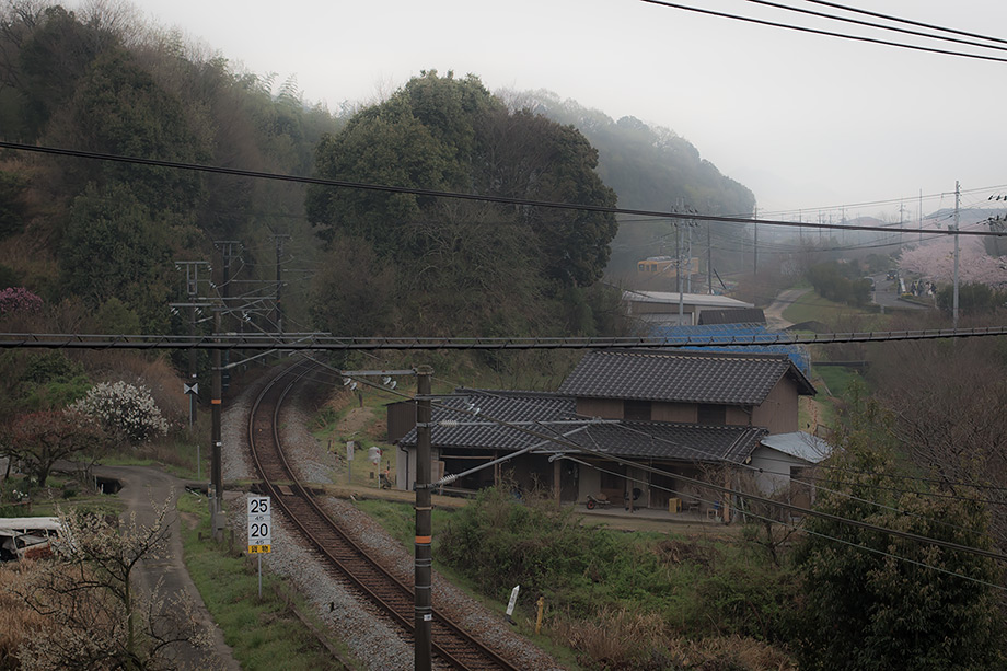 takehara2015s_06