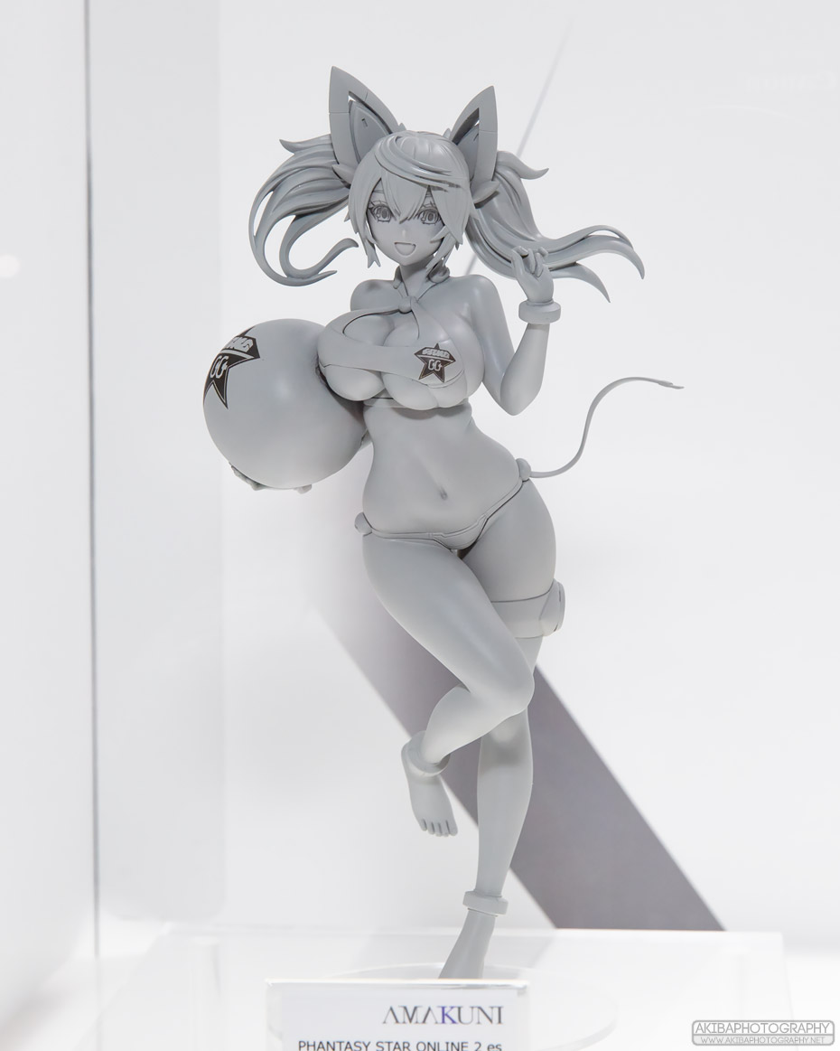 wf2018s_c020