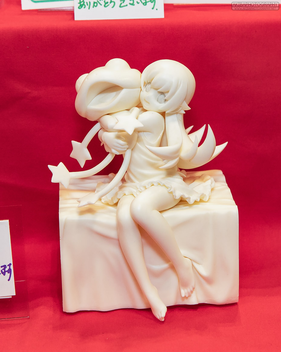 wf2018s_h011