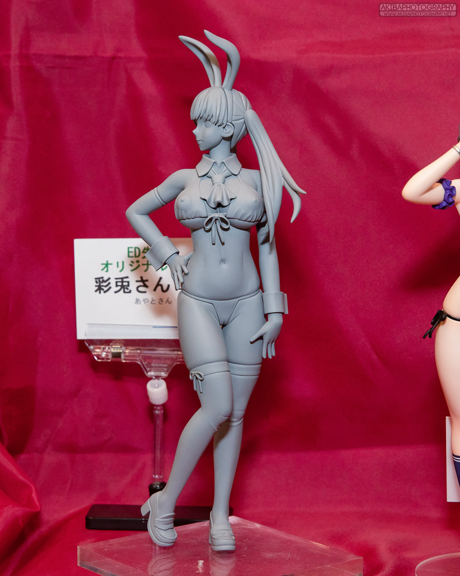 wf2018s_h030