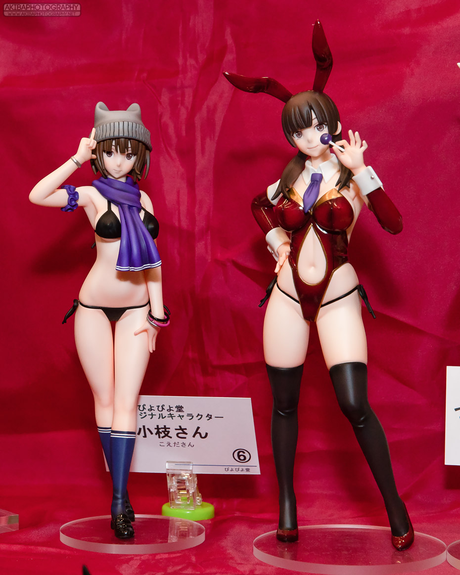 wf2018s_h031