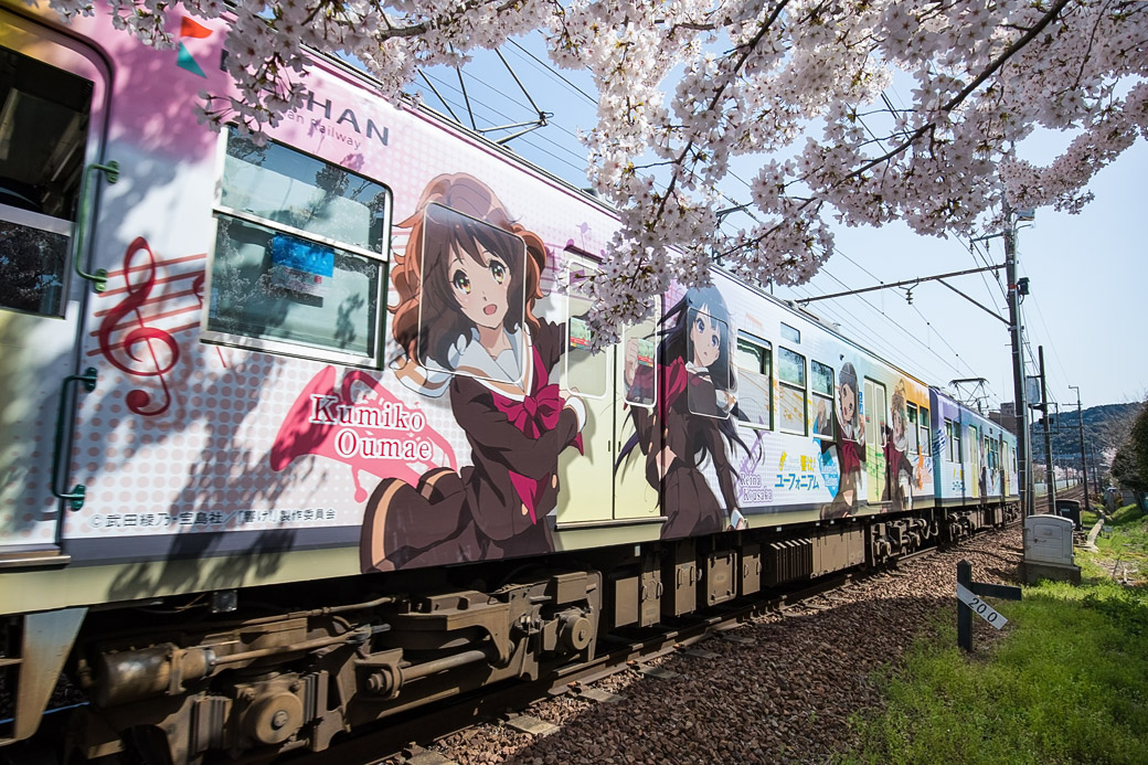 桜の大津を駆ける「響け!ユーフォニアム」のラッピングトレインと、佰食屋のステーキ丼